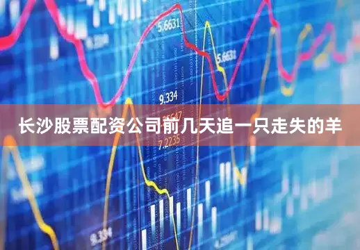长沙股票配资公司前几天追一只走失的羊
