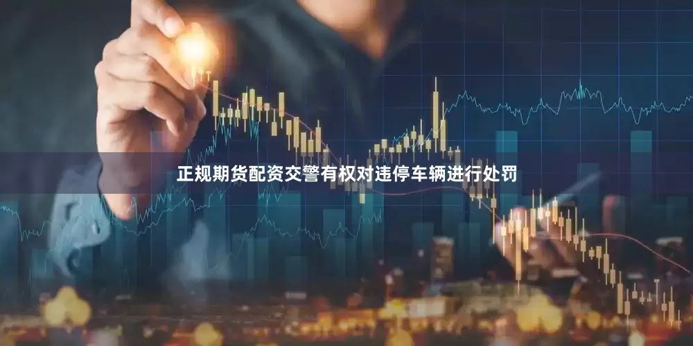 正规期货配资交警有权对违停车辆进行处罚