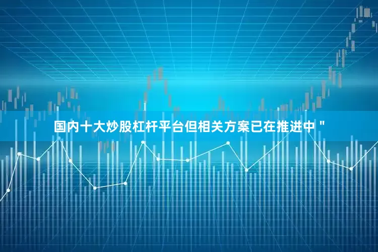 国内十大炒股杠杆平台但相关方案已在推进中＂